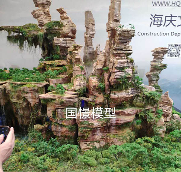 广水市场景模型