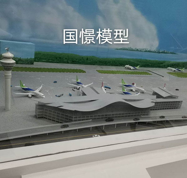 广水市场景模型