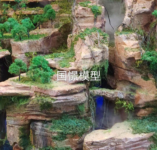 广水市场景模型