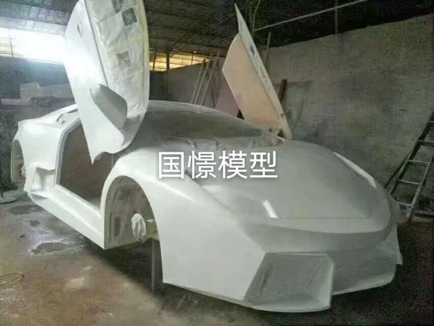 广水市车辆模型