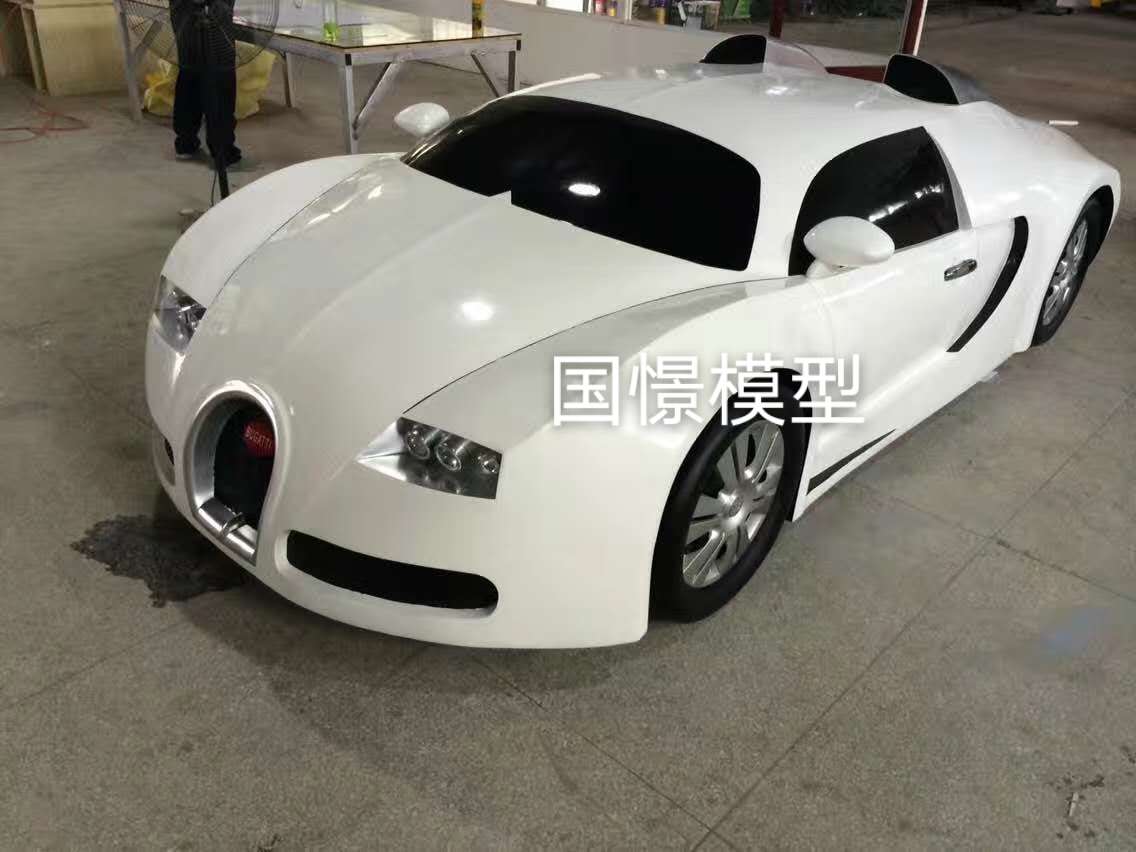 广水市车辆模型