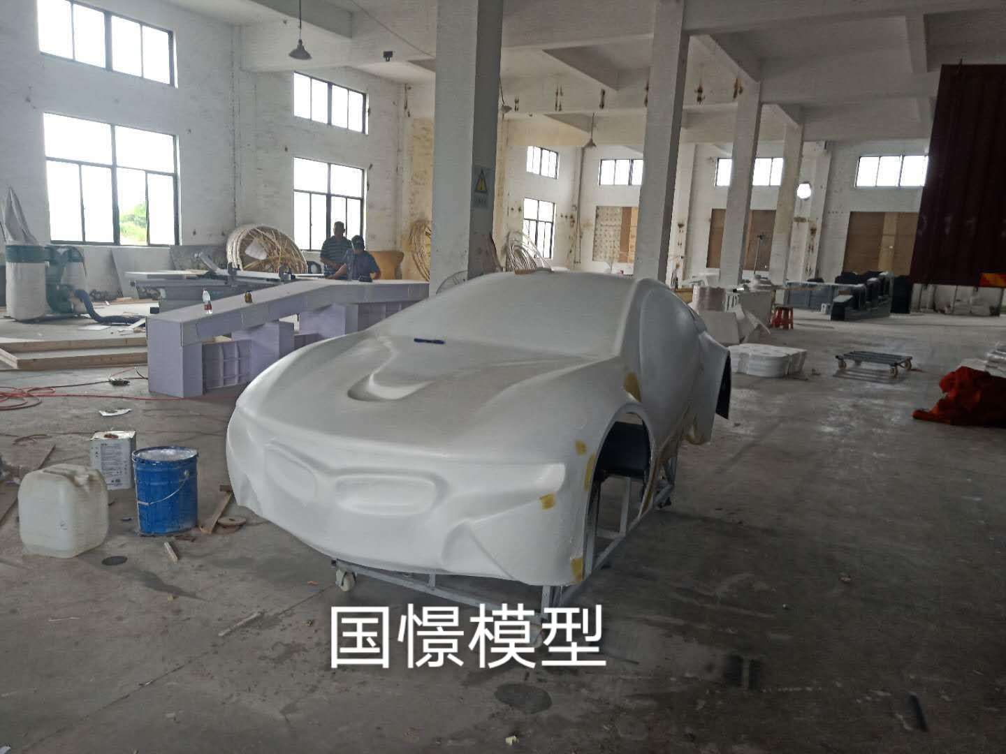 广水市车辆模型