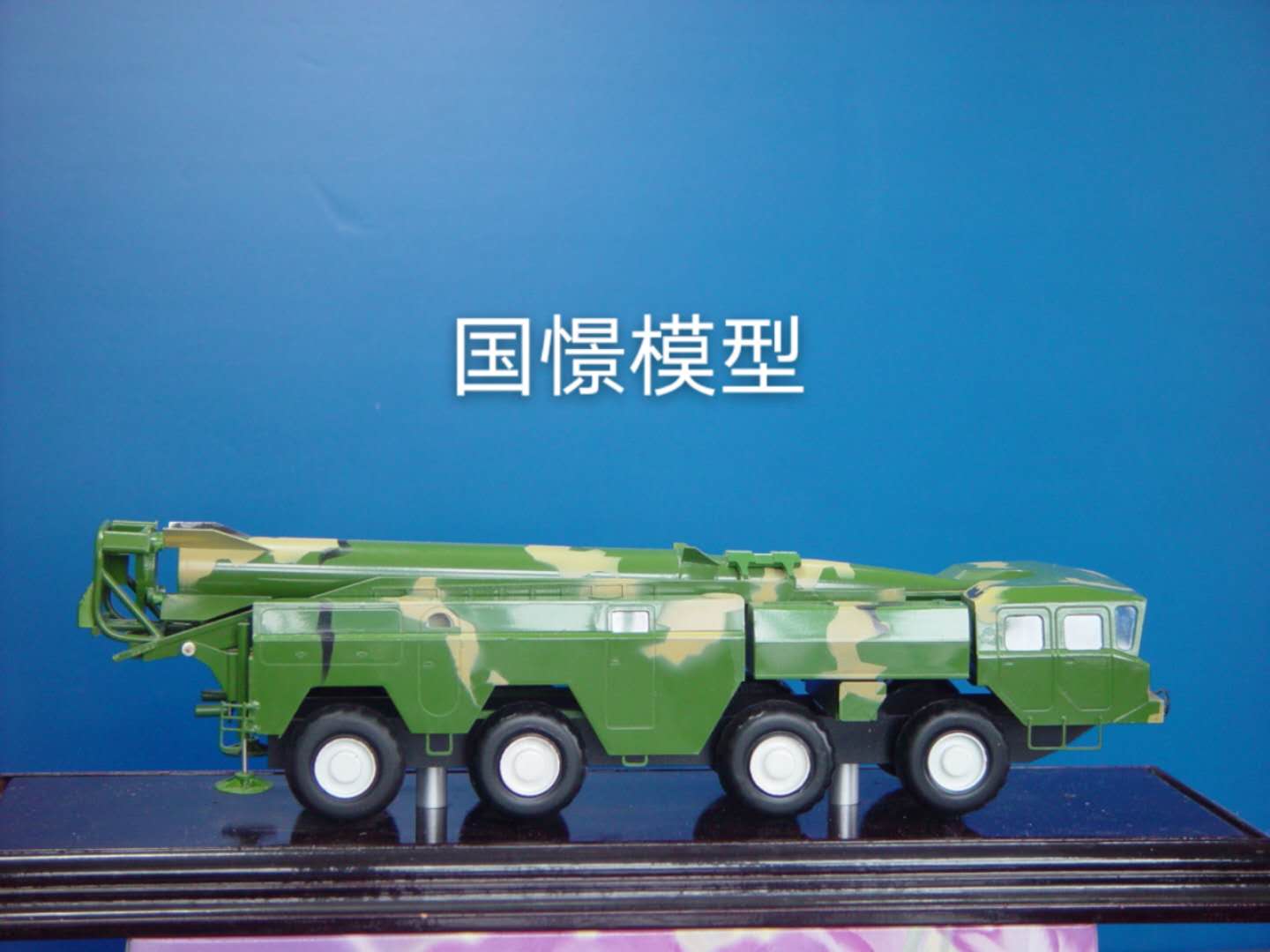 广水市车辆模型