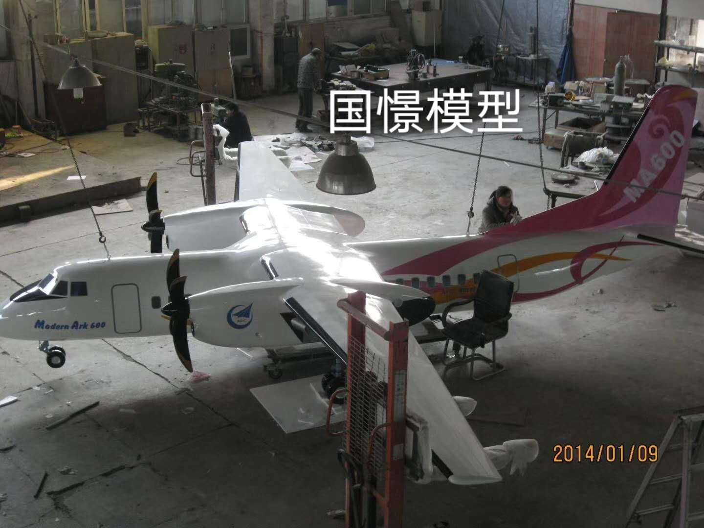 广水市飞机模型