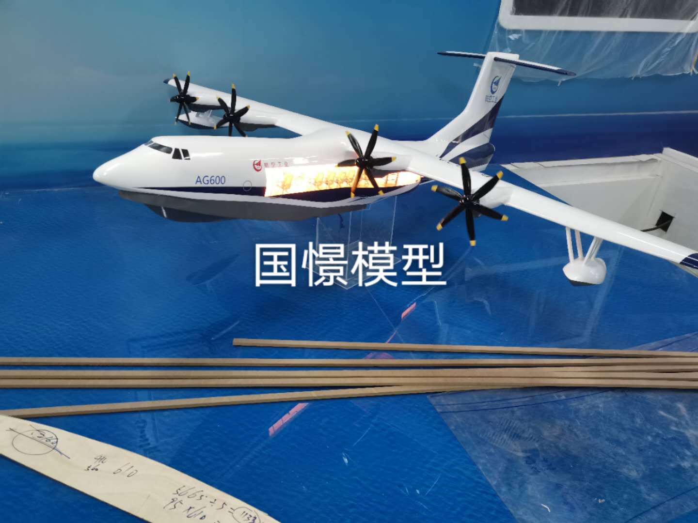 广水市飞机模型