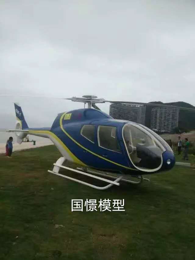 广水市飞机模型