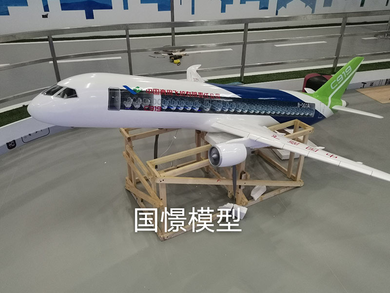 广水市飞机模型