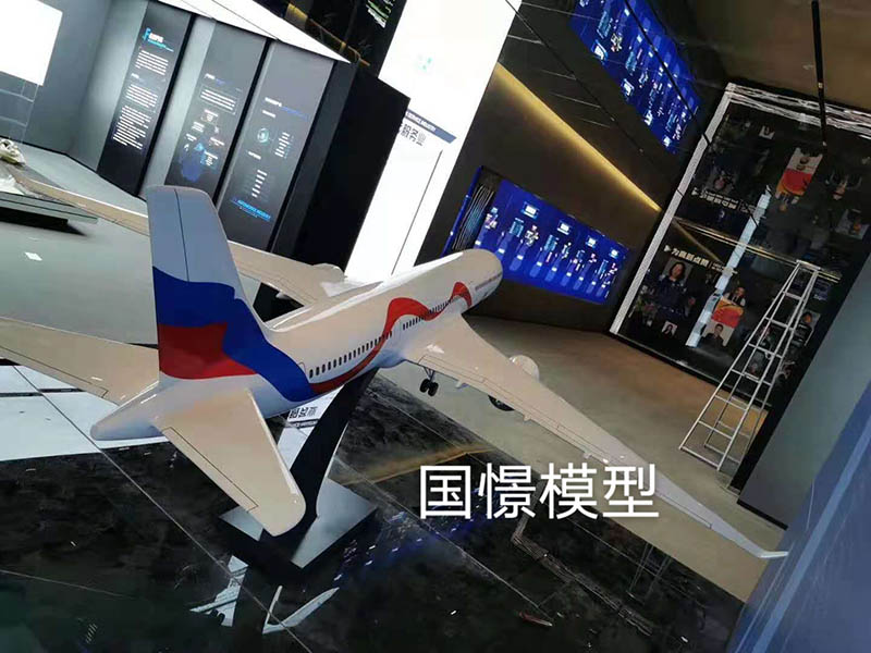 广水市飞机模型
