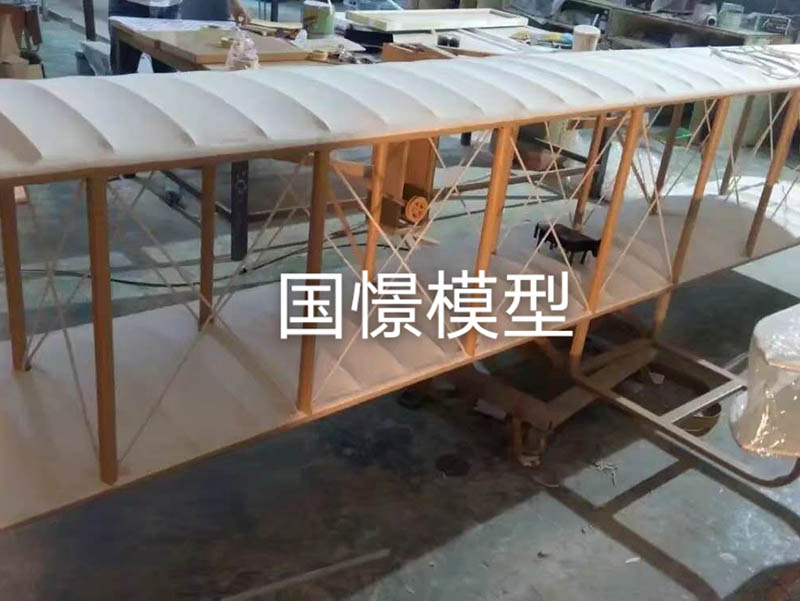 广水市飞机模型