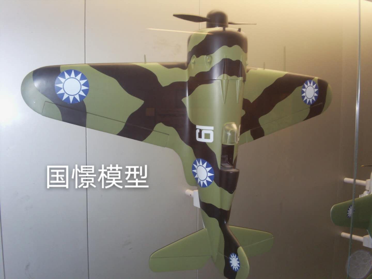 广水市军事模型