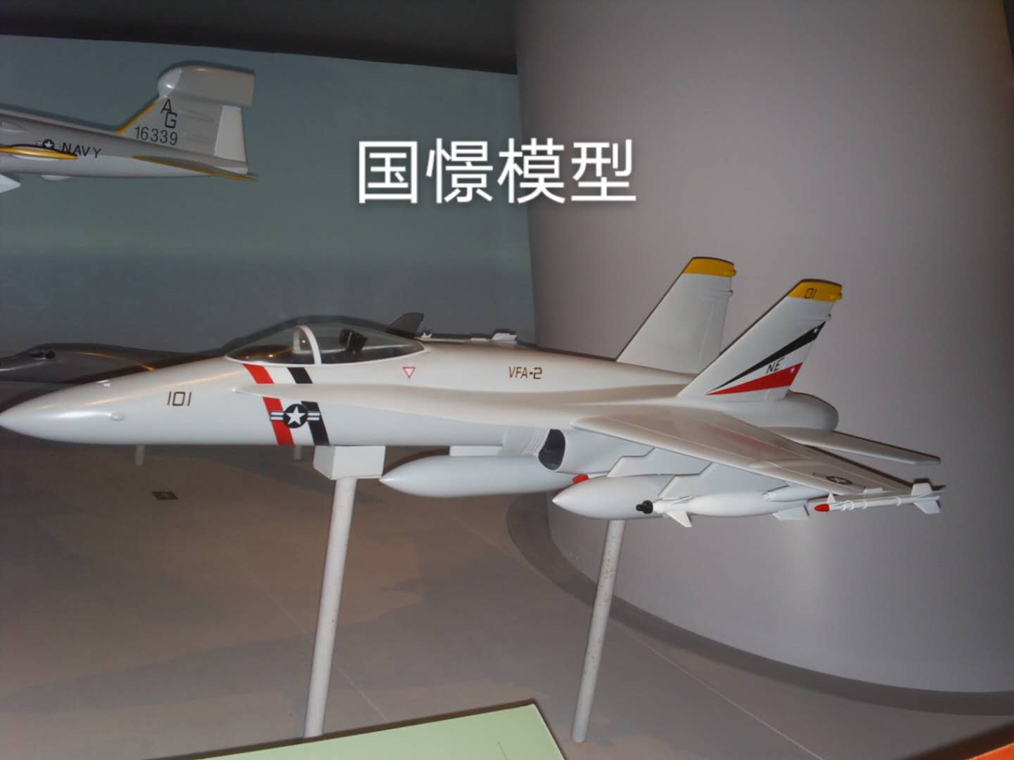 广水市军事模型