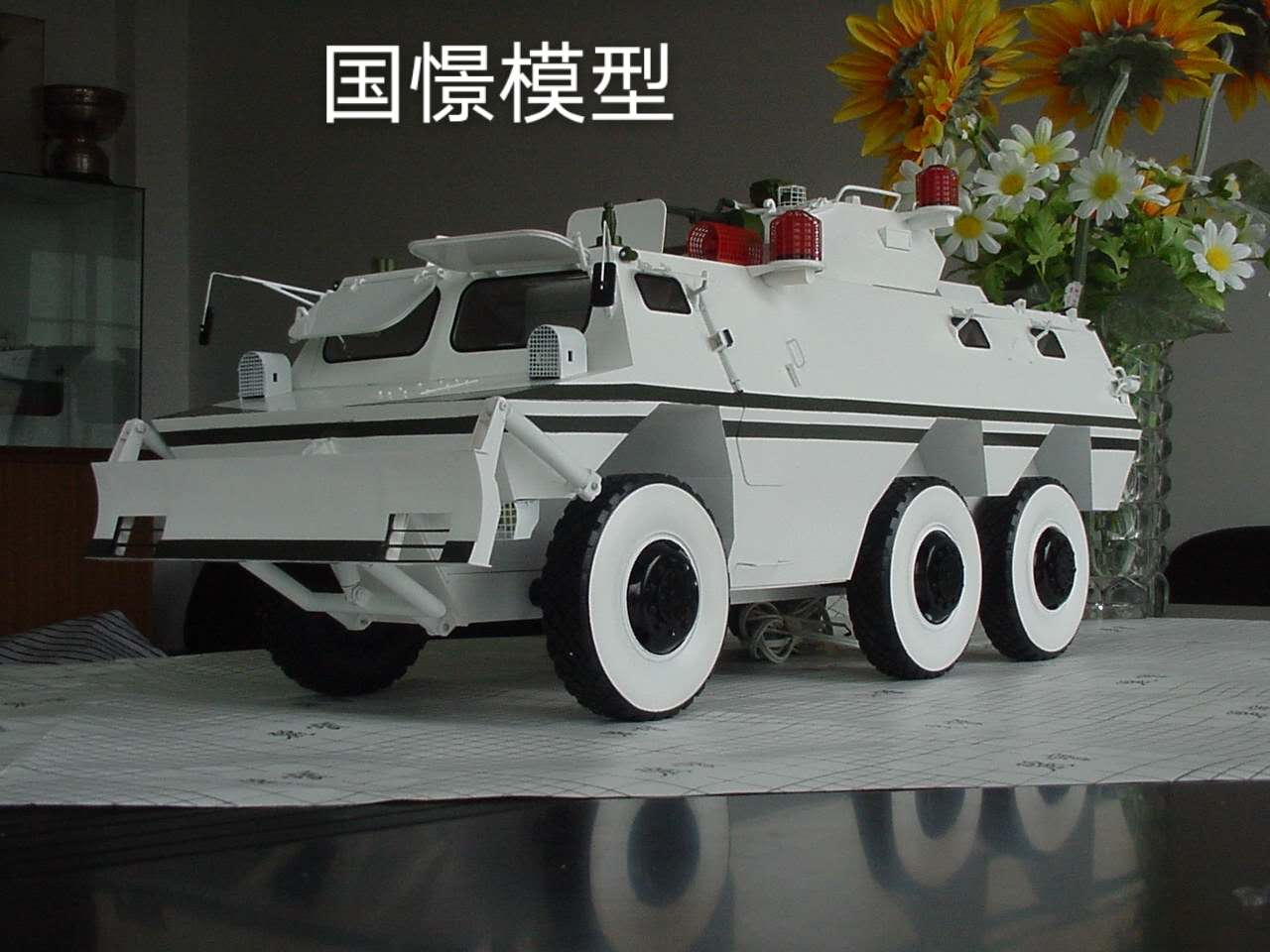 广水市军事模型