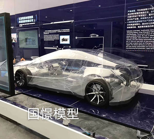 广水市透明车模型