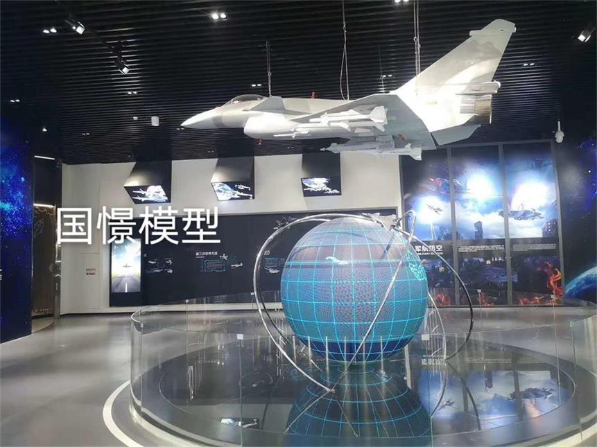 广水市飞机模型
